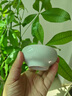 寅社莊曉明作品手繪《國色天香》主人杯喝茶杯高檔陶瓷專用大號品茗杯 國色天香（綠）-普洱杯 曬單實拍圖