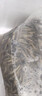 活泥鰍 戶外垂釣釣魚專用餌料飼料魚本地金鰍鮮活淡水烏龜龍魚飼料活體泥鰍批發(fā) 5-9厘米泥鰍1000條 曬單實拍圖