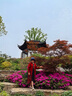 九州絲羽氣質(zhì)優(yōu)雅歐根紗帽子女春夏季涼帽漁夫帽百搭媽媽禮帽防曬帽太陽帽 藏青色 均碼 曬單實拍圖