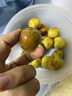 【農(nóng)戶直通車】小糖丸大荔冬棗1kg 曬單實(shí)拍圖