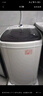 志高脫水機(jī)單甩干脫水機(jī)干桶甩干機(jī)小型迷你家用甩干桶出租房宿舍大容量單杠脫水桶烘干一體機(jī)以舊換新 12公斤【藍(lán)光殺菌款】三年免費(fèi)換新售后無(wú)憂 曬單實(shí)拍圖