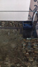 AMTRA TECHNIK德國(guó)安彩 魚缸去除油膜處理器增氧過(guò)濾除油污 除油膜過(guò)濾器 曬單實(shí)拍圖