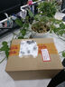 索尼（SONY）ZV-E10 II APS-C畫幅微單相機 創(chuàng)意外觀濾鏡 精準(zhǔn)對焦  zv-e10二代 黑色【16-50套機】 贈64G高速卡 官方標(biāo)配  加贈定制相機包 曬單實拍圖