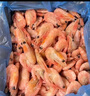 美加佳熟凍北極甜蝦腹籽凈重3斤 90/120規(guī)格  海鮮水產(chǎn) 熟凍甜蝦 曬單實拍圖