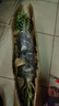重瓣沙漠玫瑰盆栽花苗老樁植物四季花卉綠室內陽(yáng)臺小盆景好養易活 精品混色8年苗發(fā)兩盆【主圖款】當年開(kāi)花爆盆+肥 曬單實(shí)拍圖
