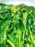 新鮮板藍根青菜食用菘油一號白灼清炒清甜爽口酒店特色蔬菜心順豐 1500g爽口回甜 順豐 曬單實(shí)拍圖