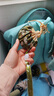 阿寶麗艾草香包4個(gè)香囊三角驅(qū)蚊驅(qū)蟲(chóng)手工成品粽子禮物隨身香袋荷包掛件 曬單實(shí)拍圖