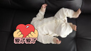 班杰威爾嬰兒衣服兩件裝男女寶寶春夏純棉哈衣爬爬服新生兒連體衣73 曬單實拍圖