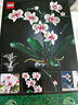 樂高（LEGO）積木拼裝10311 蘭花永生花男孩女孩女生玩具生日禮物 曬單實(shí)拍圖