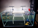 沃韋朗魚缸燈水草燈LED防水全光譜草缸水族夾燈 沃韋朗夾燈G16-A【水草版】 曬單實拍圖