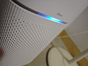 美的（Midea）【母嬰級】空氣凈化器家用除甲醛除煙味異味過敏源寵物吸貓毛空氣消毒機森林家L1 Lite國家補貼 曬單實拍圖