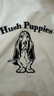 暇步士（Hush Puppies）童裝兒童短袖套裝25夏男童云柔棉T恤女童運(yùn)動(dòng)短褲 本白  170  曬單實(shí)拍圖