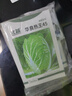北蔬 蔬菜種子苗生菜菠菜小香蔥芹菜陽臺(tái)四季菜種籽 12種蔬菜種子套餐 曬單實(shí)拍圖