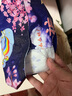 ABC彩虹圖褲型衛(wèi)生巾6安睡褲醫(yī)護(hù)級(jí)衛(wèi)生巾護(hù)墊安心褲【均碼】夜安褲 F碼-均碼 10條 70-160斤 曬單實(shí)拍圖