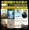 中國(guó)精髓文化紀(jì)錄片U盤通用1080P國(guó)語(yǔ)央視大型紀(jì)錄高清視頻128U盤 128G-中國(guó)文化紀(jì)錄片 曬單實(shí)拍圖