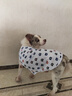 智宙狗狗衣服夏天金毛大型犬戶外夏季防曬衣薩摩耶防掉毛薄款防蟲背心 白色小熊背心 彈力大 4XL(胸圍80CM 約55斤內(nèi)寵物） 曬單實拍圖