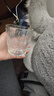 【京東物流】冰川紋玻璃杯時尚潮流ins風果汁杯酒杯水杯 ?冰川杯250ml1只 曬單實拍圖