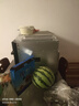 凱度【雙熱風(fēng)】家用 嵌入式蒸烤箱一體機 16.3英寸大彩屏 56L  自清潔 蒸烤炸燉4合1 國家補貼  G10Pro 【性價比之選】G10Pro 曬單實拍圖