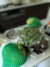 千牛優(yōu)福水果黃瓜500g 荷蘭小黃瓜無刺短黃瓜新鮮蔬菜沙拉食材 曬單實拍圖