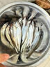 多春魚滿籽新鮮冷凍多籽魚帶籽鮮活燒烤海鮮油炸食材 多春魚3盒24條 曬單實(shí)拍圖