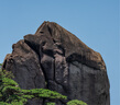 索尼（SONY）全畫幅遠(yuǎn)攝變焦 G大師鏡頭FE200-600mm遠(yuǎn)攝變焦G鏡頭 運動 野外 打鳥 SEL200600G 曬單實拍圖
