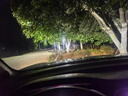猛道15-22款廣汽傳祺gs4led大燈改裝遠光近光H7霧燈激光燈透鏡車(chē)燈泡 14-19款 傳祺GS4專(zhuān)用【遠光燈】2只價(jià) 進(jìn)口大燈芯片高亮款 曬單實(shí)拍圖