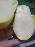 甘肅天水太婆梨香蕉梨當(dāng)季水果新鮮大頭梨茄梨現(xiàn)摘現(xiàn)發(fā)軟糯10斤 3斤 曬單實(shí)拍圖