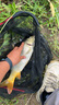 千代松卷王大物谷麥竿19調(diào)三定位不剪線逗釣竿谷麥魚竿谷麥桿 7m 卷王+D95全包圍谷麥輪+配件 曬單實拍圖