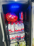 夏新冰吧冷藏柜 歐式恒溫紅酒柜酒店家用客廳冰箱迷你小型單門辦公室保鮮展示留樣茶葉飲料藥品柜 【全冷藏+藍(lán)光燈】一級(jí)能效259升 曬單實(shí)拍圖