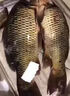 鄧剛主攻釣魚餌料野釣專用通殺鯽魚鯉魚鳊魚必爆護(hù)超誘魚食魚餌料 買2 送1【3秒咬鉤】3包裝 曬單實(shí)拍圖