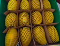 佳沛（zespri）新西蘭  陽光金奇異果10粒禮盒巨大果單果約144-175g 水果 獼猴桃 曬單實拍圖