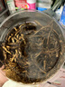 廣東省中藥研究所新會六年陳皮干茶橘皮泡水橙皮老陳皮特產(chǎn)泡茶水 1罐 60g 1只 六年陳皮 曬單實拍圖