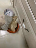 瘋狂小狗 中大型幼犬成犬狗糧邊牧邊境牧羊犬專用全價糧20斤狗糧10kg 曬單實拍圖
