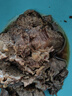 恒都 國產(chǎn)谷飼原切牛腱子 3斤 含腱子芯 生鮮牛肉 燉煮健身食材 曬單實拍圖