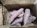 儒意（RUYI）美白祛斑面霜50g 男女士護(hù)膚品乳液補(bǔ)水保濕抗皺緊致水乳修復(fù)霜 曬單實(shí)拍圖