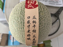 京鮮生 玫瓏網(wǎng)紋瓜 凈重4-5斤 2粒 源頭直發(fā)包郵 曬單實(shí)拍圖