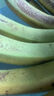 谷真云南高山香蕉 10斤新鮮薄皮現(xiàn)砍現(xiàn)發(fā)整箱批發(fā)正宗當季大香蕉 大香蕉 2.5kg 特級蕉 曬單實拍圖