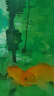 佳璐（jialu）魚(yú)缸過(guò)濾器三合一抽水泵增氧泵水族箱過(guò)濾設備 22W水泵 含波紋管 曬單實(shí)拍圖