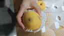 京覓湖南炎陵黃桃9斤禮盒裝凈重桃子大果200g+高山黃桃水果源頭直發(fā) 曬單實(shí)拍圖