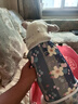 阿莫爾狗狗衣服夏季清涼冰絲背心貓咪衣服防掉毛防曬小型犬比熊小狗衣服 紫色花【舒適透氣帶牽引扣】 XL(建議10-13斤參考胸圍背長) 曬單實拍圖