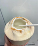 南步海南椰青 現(xiàn)摘易開口椰香皇去皮香水奶香椰子雞生椰孕婦新鮮水果 9個(gè) 精品裝【單果2-3斤】 曬單實(shí)拍圖
