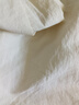 茵曼（INMAN）闊腿五分褲女士夏季新款松緊顯瘦高腰直筒休閑新疆棉短褲 淺米杏 XL 曬單實拍圖