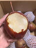 式果禮陜西彩虹梨【順豐】彩紅梨香梨早酥蜜梨大梨子七彩紅啤梨新鮮水果 5斤 精選小果【單果約100g+】 曬單實拍圖