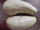 采緹（CAITI）山東羊角蜜甜瓜山東現(xiàn)貨小香瓜頭茬甜瓜羊角蜜點心新鮮水果 精選1斤裝 曬單實拍圖