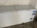 雪貝娜冰柜商用大容量全冷凍家用雙溫臥式冷柜展示柜 1388單溫智能溫控【正規(guī)產(chǎn)品認(rèn)證能效標(biāo)識(shí)】 曬單實(shí)拍圖