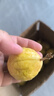 廣西現(xiàn)摘黃金百香果欽蜜9號(hào) 爆甜多汁當(dāng)季水果現(xiàn)摘整箱水果 40個(gè)裝 單果30g以下 曬單實(shí)拍圖