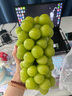顏曼箐陽光玫瑰葡萄禮盒裝【順豐-送貨上門】新鮮水果晴王葡萄特級青提 5斤裝 單果8-12g彩箱 凈4斤 當(dāng)日現(xiàn)摘 曬單實拍圖