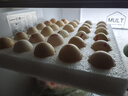 無(wú)抗鮮雞蛋 谷物喂養(yǎng)鮮雞蛋 單枚50g-60g 早餐食材 蛋香味十足 30枚裝 曬單實(shí)拍圖