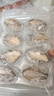 靈略 鮮凍大鮑魚 凈重800g 16粒盒裝 鮑魚火鍋燒烤  貝類海鮮 生鮮 曬單實拍圖