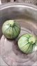 現(xiàn)摘新鮮嫩南瓜新鮮窩瓜倭瓜青皮小南瓜長南瓜新鮮蔬菜農(nóng)家自種 5斤 曬單實(shí)拍圖